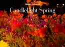Candlelight Spring Best of ABBA