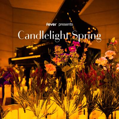 Candlelight Spring Best of Ludovico Einaudi im Museum am Rothenbaum