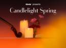Candlelight Spring Best of Ludovico Einaudi