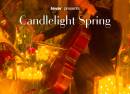 Candlelight Spring Best of Queen