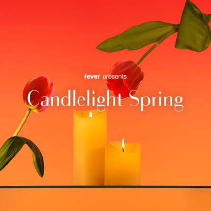 Candlelight Spring Bowie to Pink Floyd – Rock Ballads Tribute