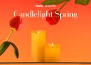 Candlelight Spring Coldplay and Ed Sheeran