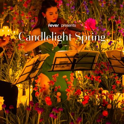 Candlelight Spring Coldplay & Imagine Dragons a Palazzo Ripetta