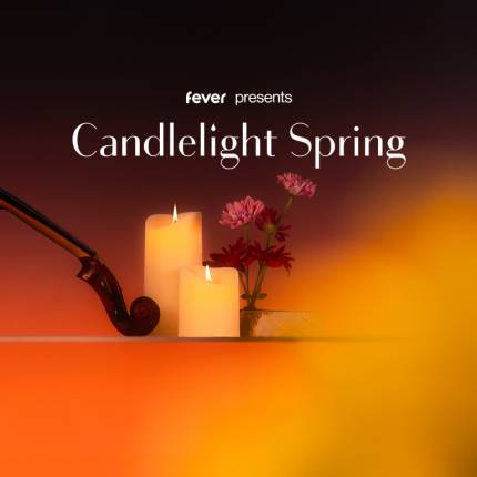 Candlelight Spring Coldplay in der Musikhalle
