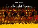 Candlelight Spring Coldplay vs. Ed Sheeran