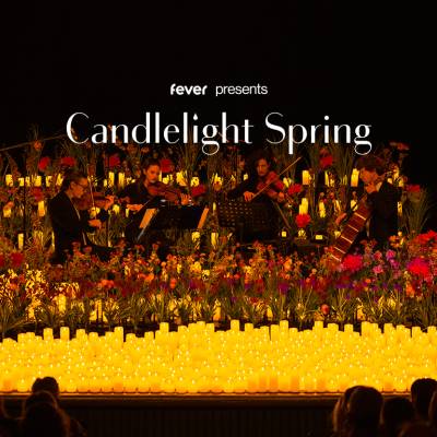 Candlelight Spring Coldplay vs. Ed Sheeran