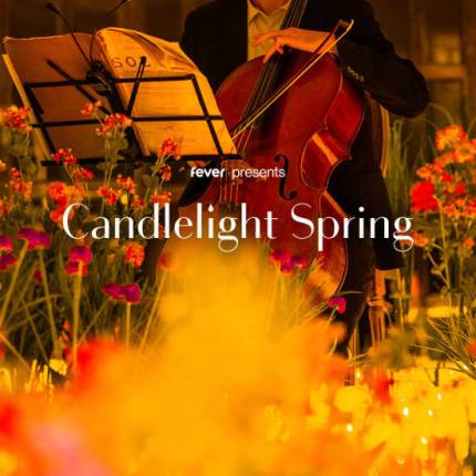 Candlelight Spring De vier seizoenen van Vivaldi