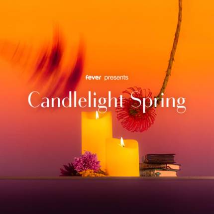 Candlelight Spring Ed Sheeran & Coldplay