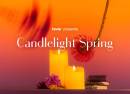 Candlelight Spring Ed Sheeran & Coldplay