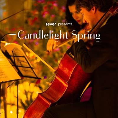 Candlelight Spring Ed Sheeran meets Coldplay in der Aula Carolina