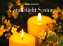Candlelight Spring Een tribute aan ABBA
