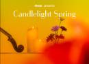 Candlelight Spring Featuring Mozart, Bach and Timeless Composers