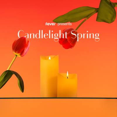 Candlelight Spring Hommage an Ludovico Einaudi im Logenhaus zur Einigkeit