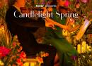 Candlelight Spring Hommage an Ludovico Einaudi im Schweizer Hof Hotel