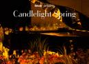 Candlelight Spring Hommage an Ludovico Einaudi