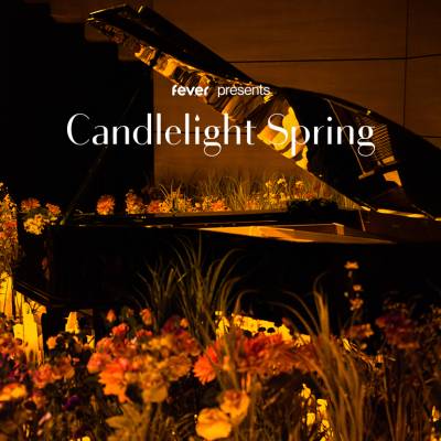 Candlelight Spring Hommage an Ludovico Einaudi