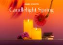 Candlelight Spring Hommage à Céline Dion