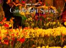 Candlelight Spring  Hommage à U2