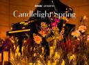 Candlelight Spring  Hommage à Yann Tiersen