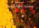 Candlelight Spring  Le Meilleur du Métal