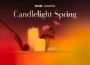 Candlelight Spring  Les 4 saisons de Vivaldi