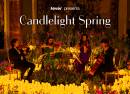Candlelight Spring Mozart, Bach et autres compositions intemporelles