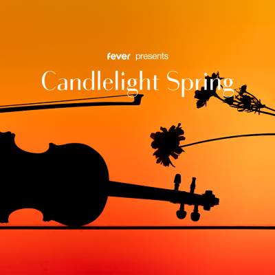 Candlelight Spring  Musiques d'Animés