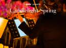 Candlelight Spring Queen meets ABBA im Knies Zauberhut
