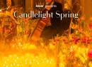 Candlelight Spring Queen vs Abba in der Musikhalle