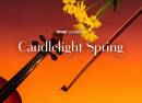 Candlelight Spring  Requiem de Mozart et bien d'autres