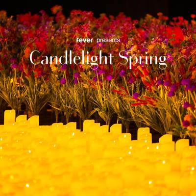 Candlelight Spring Rock, Nirvana, Led Zeppelin, Metallica ed altri