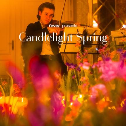 Candlelight Spring The Best of Anime