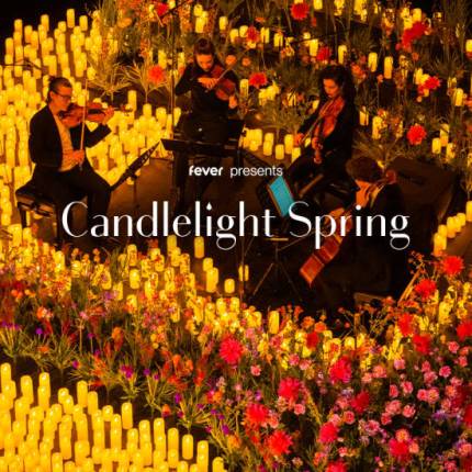 Candlelight Spring Tribut an Adele