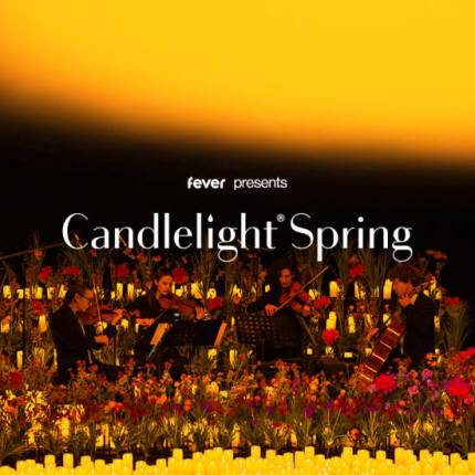 Candlelight Spring Tribut an Phil Collins