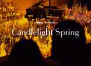 Candlelight Spring  Tribute aan Coldplay