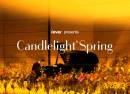 Candlelight Spring  Tribute aan Queen