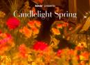 Candlelight Spring Tributo a Ed Sheeran