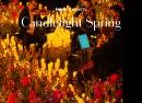 Candlelight Spring Tributo a Queen en AC Santa Paula