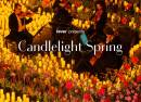 Candlelight Spring tributo agli ABBA