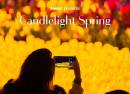 Candlelight Spring Tributo Flamenco