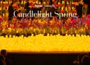 Candlelight Spring Vivaldis „Vier Jahreszeiten“ im Beethoven-Haus