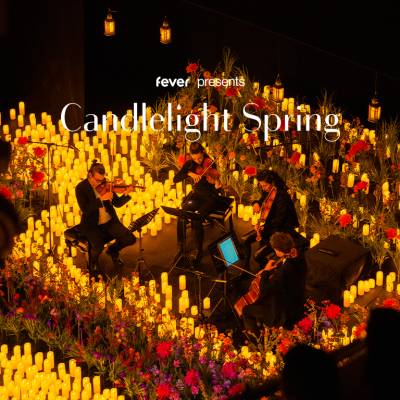 Candlelight Spring Vivaldis „Vier Jahreszeiten“ im Event-Theater Schwanenhöfe