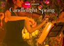 Candlelight Spring Vivaldis „Vier Jahreszeiten“