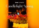 Candlelight Spring 夢と幻想の世界のメロディー