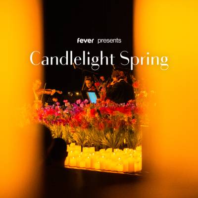 Candlelight Spring 夢と幻想の世界のメロディー