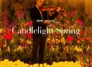 Candlelight SpringLas Cuatro Estaciones de Vivaldi