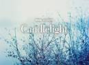 Candlelight The Best of Ludovico Einaudi