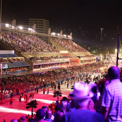 Carnaval do Rio de Janeiro 2025 - Arquibancadas