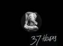 37 Houses
