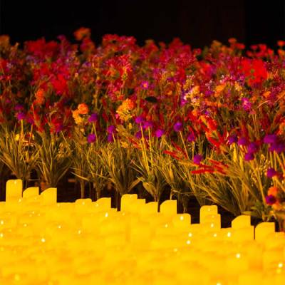 Candlelight Summer Lo Mejor de Bridgerton